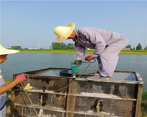 連云港市管道水下安裝技術(shù)咨詢 核心要點(diǎn)與專業(yè)服務(wù)指南